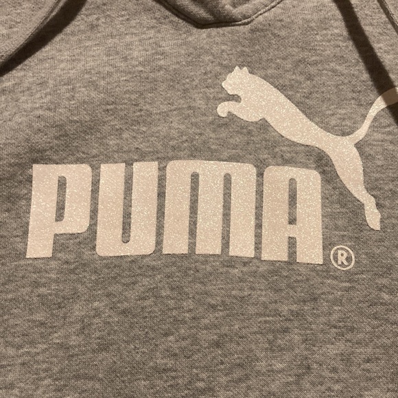 Gray puma hoodie with sparkly logo - Picture 2 of 4
